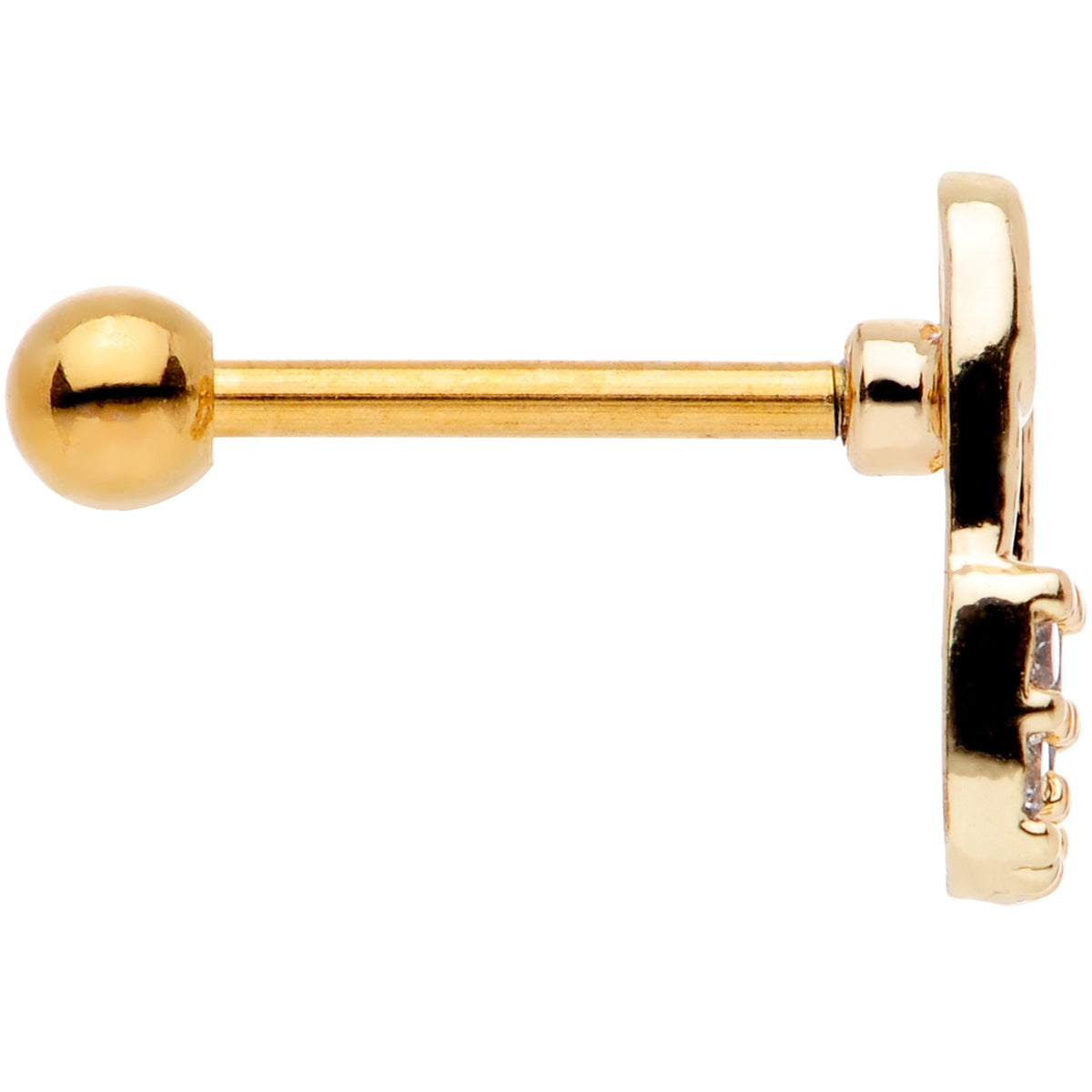 18G 5/16 SAFETY PIN TRAGUS