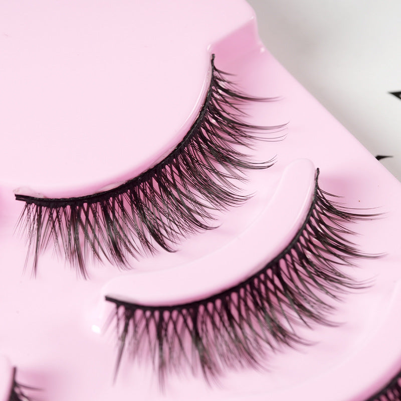 ANIME LASHES